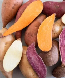 Variety Sweet Potato Slips - 15 Plant Slips - Beauregard, Japanese White, Purple - Image 6