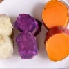 Variety Sweet Potato Slips - 15 Plant Slips - Beauregard, Japanese White, Purple - Image 1