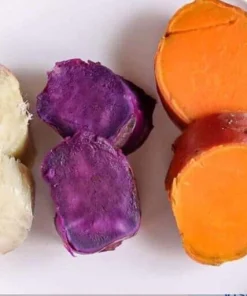 Variety Sweet Potato Slips - 15 Plant Slips - Beauregard, Japanese White, Purple - Image 1
