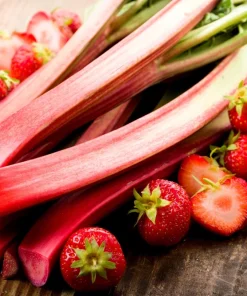 Victoria Rhubarb Seeds - 25 Seeds - Pieplant Perennial Vegetable - Image 2