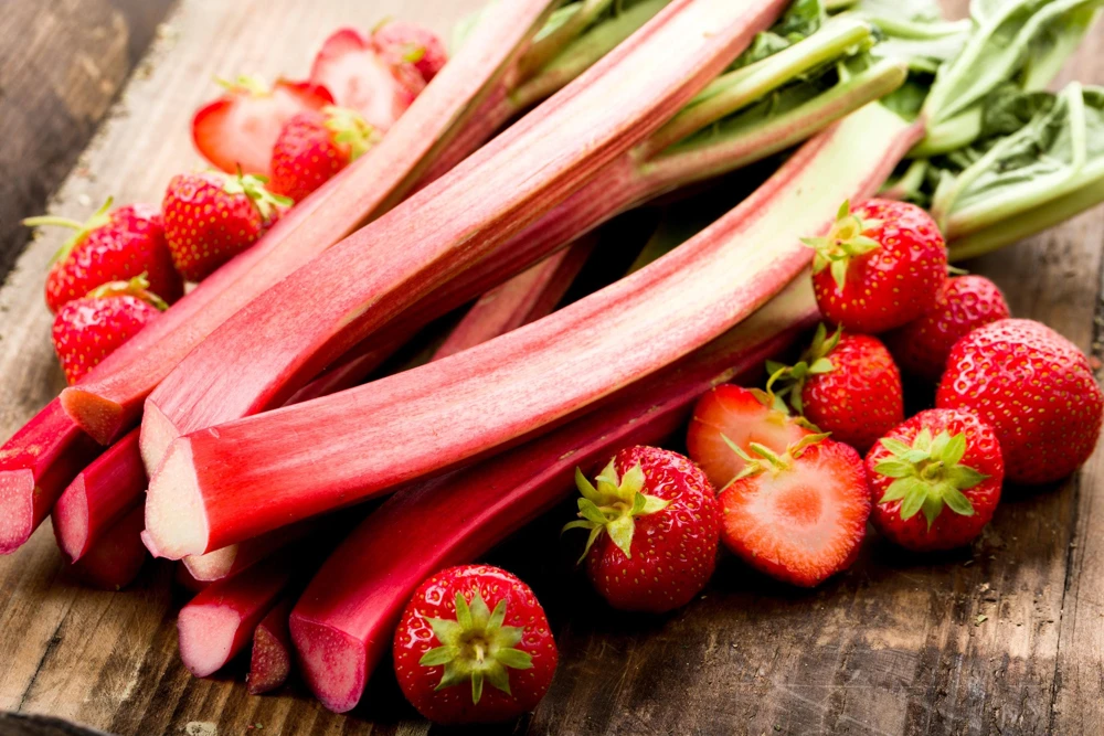 Victoria Rhubarb Seeds - 25 Seeds - Pieplant Perennial Vegetable - Image 2