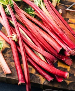 Victoria Rhubarb Seeds - 25 Seeds - Pieplant Perennial Vegetable - Image 3