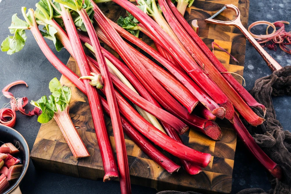 Victoria Rhubarb Seeds - 25 Seeds - Pieplant Perennial Vegetable - Image 3