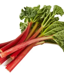Victoria Rhubarb Seeds - 25 Seeds - Pieplant Perennial Vegetable - Image 6