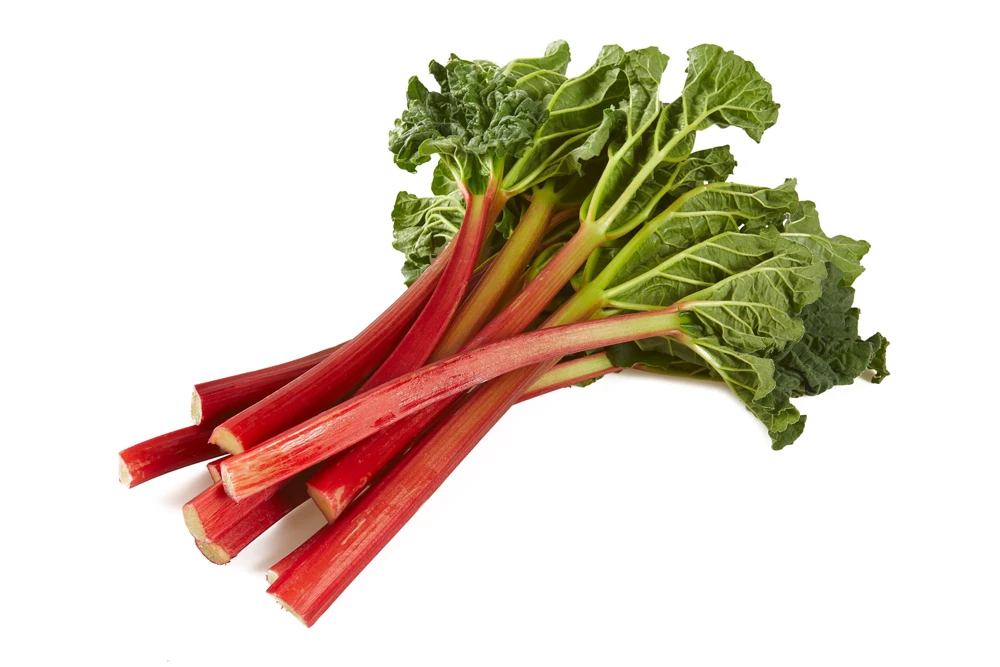 Victoria Rhubarb Seeds - 25 Seeds - Pieplant Perennial Vegetable - Image 6