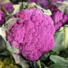 Violet Queen Purple Cauliflower Seeds - 25 Vegetable Seeds for Planting - Image 1