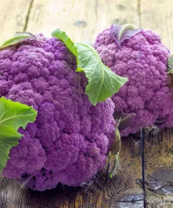 Violet Queen Purple Cauliflower Seeds - 25 Vegetable Seeds for Planting - Image 5