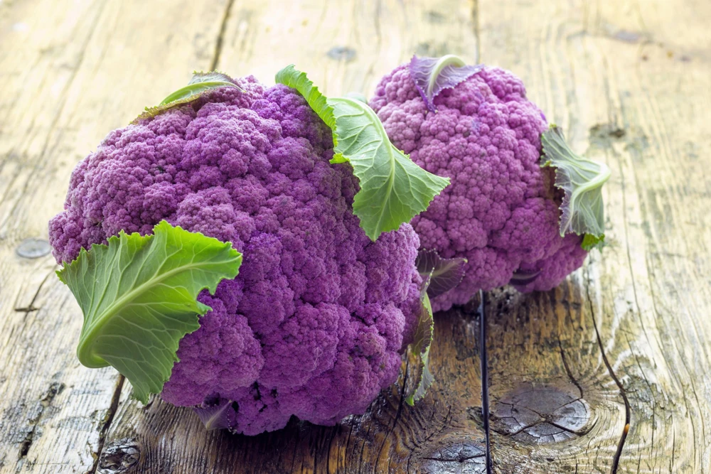 Violet Queen Purple Cauliflower Seeds - 25 Vegetable Seeds for Planting - Image 5