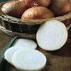 Walla Walla Onion Seeds - 80 Sweet, Mild Onion Seeds for Gardening - Image 1