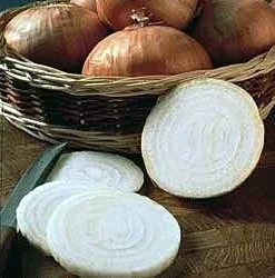 Walla Walla Onion Seeds - 80 Sweet, Mild Onion Seeds for Gardening - Image 1