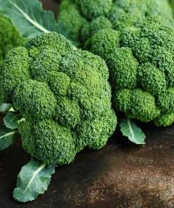 Waltham 29 Broccoli Seeds - 1000 Count Vegetable Seeds for Home Gardens - Image 3