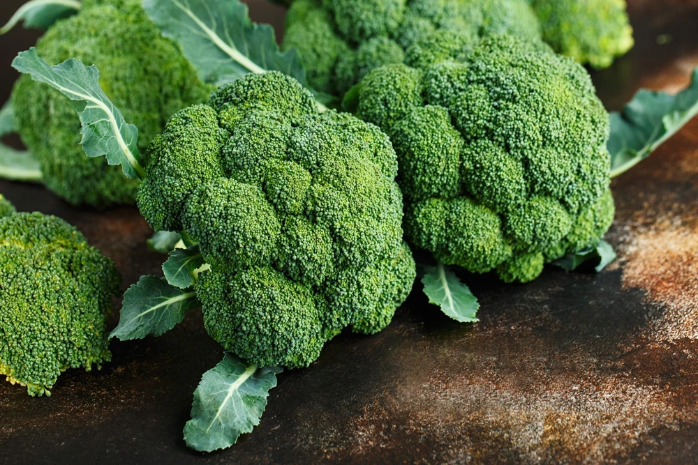 Waltham 29 Broccoli Seeds - 1000 Count Vegetable Seeds for Home Gardens - Image 3