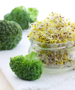 Waltham 29 Broccoli Seeds - 1000 Count Vegetable Seeds for Home Gardens - Image 5