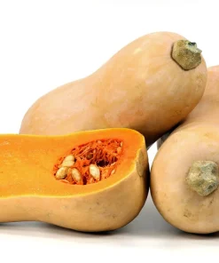 Waltham Butternut Squash Seeds - 60 Count Vegetable Seeds for Home Garden - Image 1