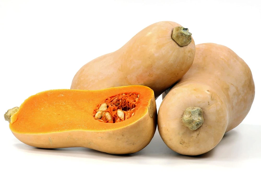 Waltham Butternut Squash Seeds - 60 Count Vegetable Seeds for Home Garden - Image 1