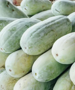 Wax Gourd Seeds - Winter Melon Vegetable Seeds (20 Count) - Benincasa Hispida - Image 8