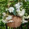 White Hanging Begonia Bulbs - 2 Pack - 5/6 cm - Double Flowers for Baskets - Image 1