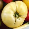 White Queen Tomato Seeds - Heirloom Beefsteak Variety - 20 Seeds - Indeterminate - Image 1