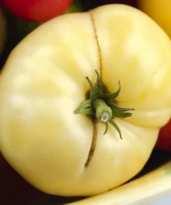 White Queen Tomato Seeds - Heirloom Beefsteak Variety - 20 Seeds - Indeterminate - Image 1