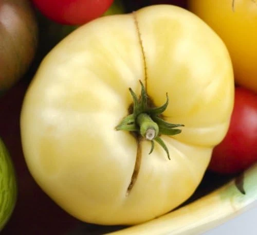 White Queen Tomato Seeds - Heirloom Beefsteak Variety - 20 Seeds - Indeterminate - Image 1