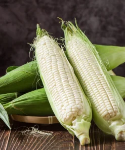 White Sweet Corn 'Truckers Favorite' Seeds - 100 Zea Mays Vegetable Seeds - Image 2