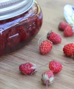 Wild Strawberry Live Plants - Fragaria vesca - Set of 2 - 3