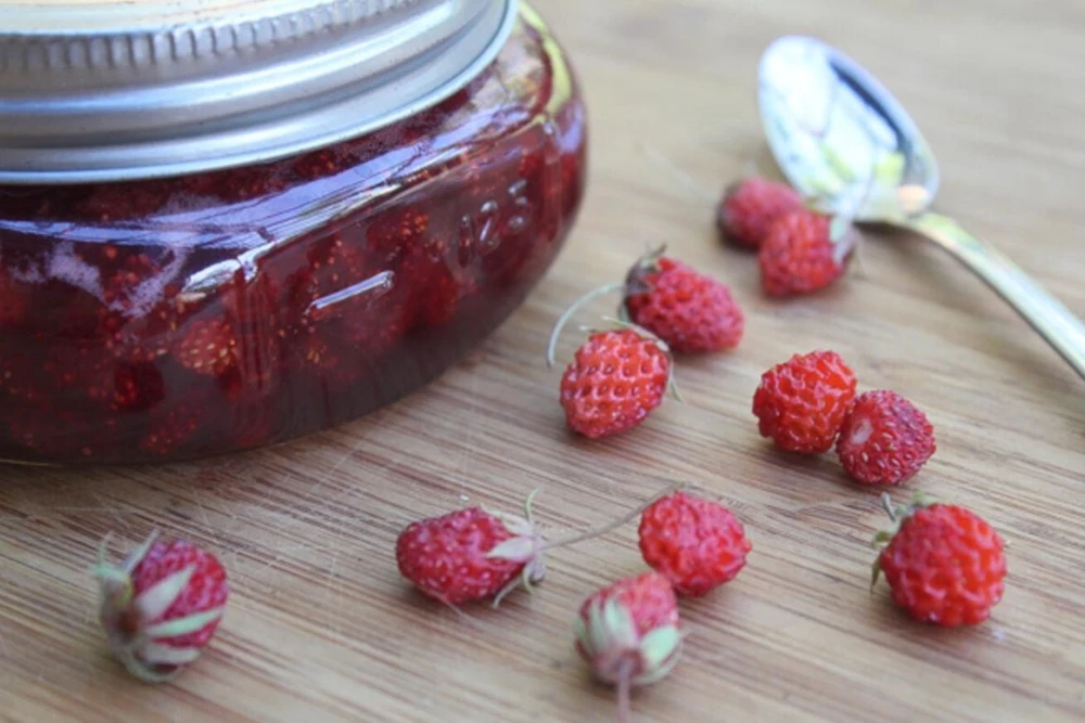 Wild Strawberry Live Plants - Fragaria vesca - Set of 2 - 3" Pots - Edible Berries - Image 17
