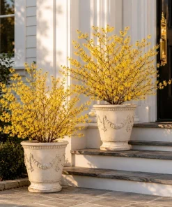 Witch Hazel Live Plant, Hamamelis Tree, Yellow Flower, 6-12 Inch, Quart Pot, Outdoor - Image 7