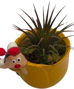 Yellow Ceramic Bee Planter with Live Tillandsia Air Plant - 3" Pot - Image 2
