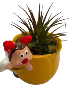 Yellow Ceramic Bee Planter with Live Tillandsia Air Plant - 3
