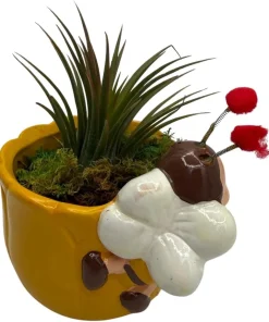 Yellow Ceramic Bee Planter with Live Tillandsia Air Plant - 3