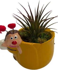 Yellow Ceramic Bee Planter with Live Tillandsia Air Plant - 3
