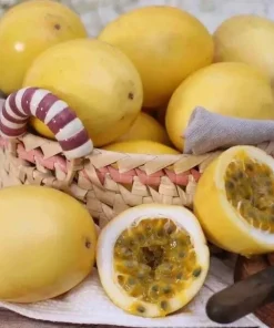 Yellow Passion Fruit Seeds - Sweet Granadilla (Passiflora Ligularis) - 30 Seeds - Image 2