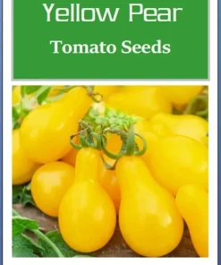 Yellow Pear Tomato Seeds - Non-GMO Heirloom Vegetable Seeds for Gardening - Image 2