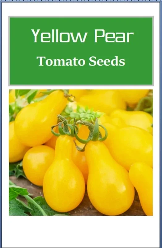 Yellow Pear Tomato Seeds - Non-GMO Heirloom Vegetable Seeds for Gardening - Image 2