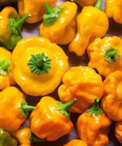 Yellow Scotch Bonnet Pepper Seeds - 40 Count - Very Hot Jamaican Chile Seeds - Image 3