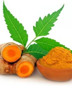 Yellow Turmeric Root Live Plant - Curcuma Longa - 4