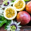 1 Panama Red Passion Fruit Live Plant - Tropical Edible Vine for Zones 9a+ - Image 1