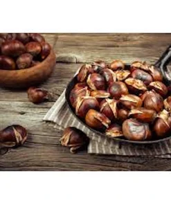 10 Bisalta Italian Chestnut Seeds - Stratified for Planting - Image 4