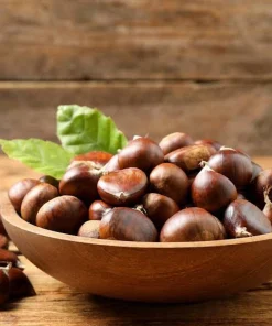 10 Chinese Chestnut Seeds for Planting - Blight Resistant Castanea Mollissima - Image 4