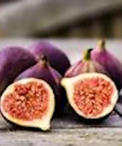 3 Black Mission Fig Tree Starter Plants - Fruit Bearing Live Plants - Image 5