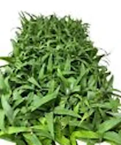 3 Kona Sugarloaf Pineapple Starter Plants - Edible Fruit Bush - Live Tropical Fruit Plant - Image 2