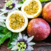 3 Panama Red Passion Fruit Starter Plants - Passiflora edulis Live Tropical Vine - Image 1