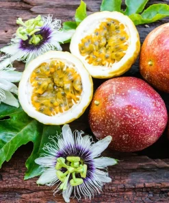 3 Panama Red Passion Fruit Starter Plants - Passiflora edulis Live Tropical Vine - Image 1