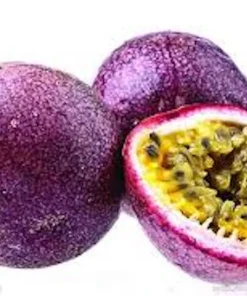 3 Purple Passion Fruit Starter Live Plant - Passiflora Edulis Self-Fertile Vine - Image 2