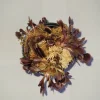 3 Small Red Piranha Venus Flytrap Live Plant - Carnivorous Dionaea Muscipula - Image 1