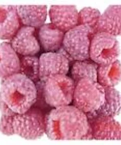 5 Nantahala Red Raspberry Live Plants - Edible Fruit Perennial, Zones 4-9 - Image 5