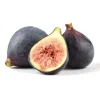 Beer's Black Fig Tree Live Plant - Self-Pollinating, Edible Fruit, Zones 7-10 - Image 1