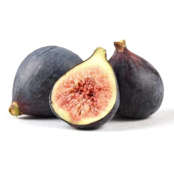 Beer's Black Fig Tree Live Plant - Self-Pollinating, Edible Fruit, Zones 7-10 - Image 1
