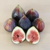 Black Mission Fig Tree Live Plant - Self-Pollinating, Rooted Starter, Zones 7-10 - Image 1